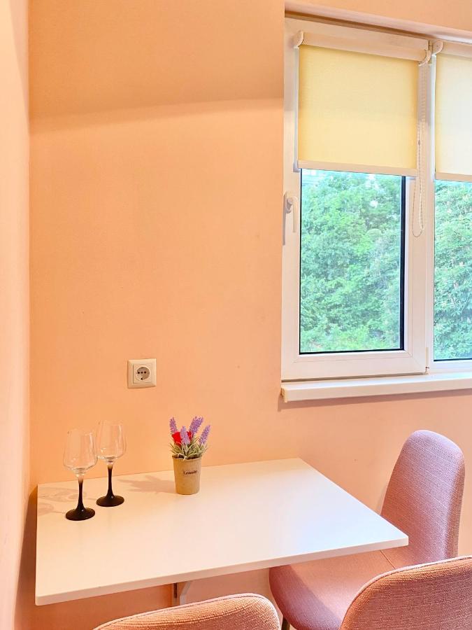 Sunny Central Apartment With Tv & Wi-Fi 旧扎戈拉 外观 照片